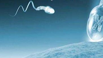 国内有哪几个医院能做子宫腺肌试管婴儿？