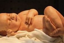 试管婴儿可以指定精子吗？附试管流程详情